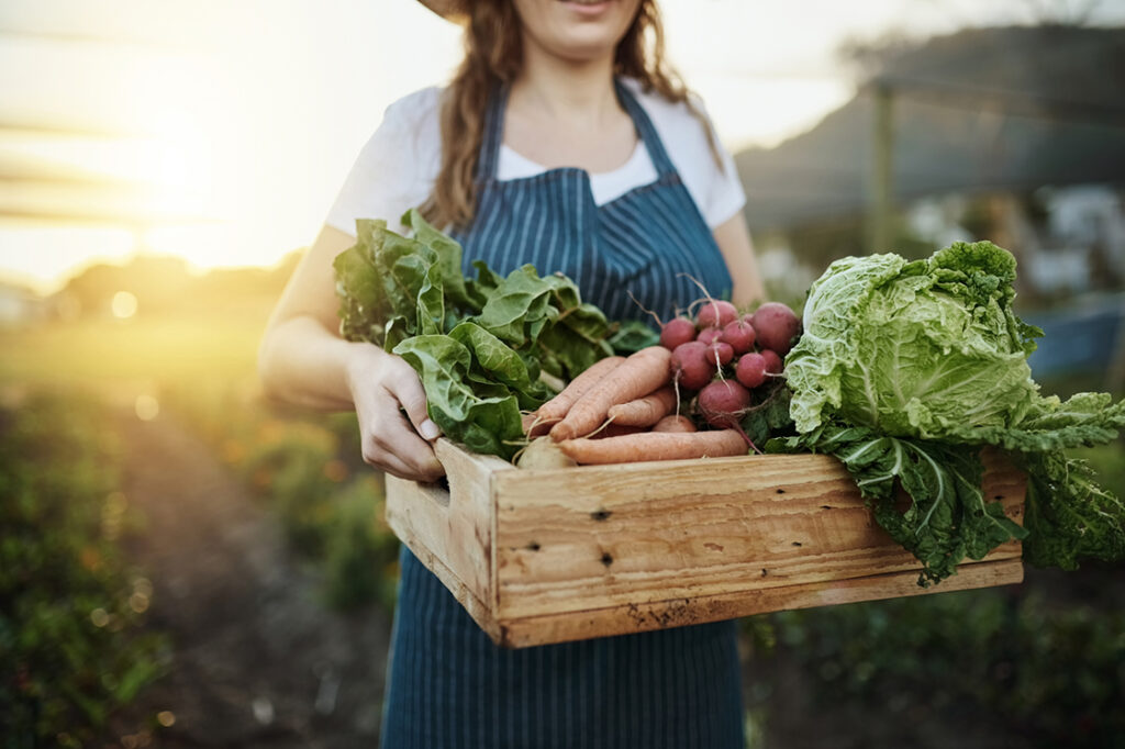 Día Mundial de la Inocuidad de los Alimentos