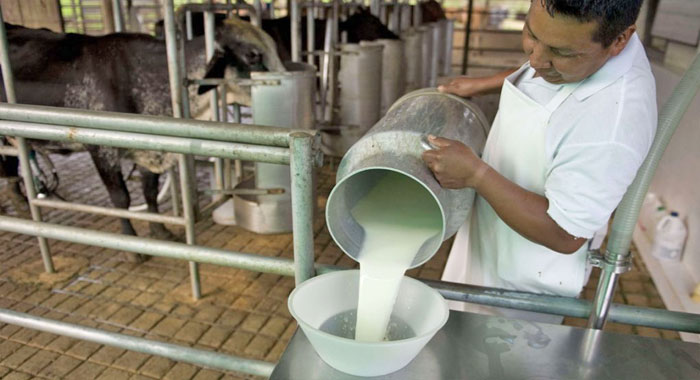 Producción de leche