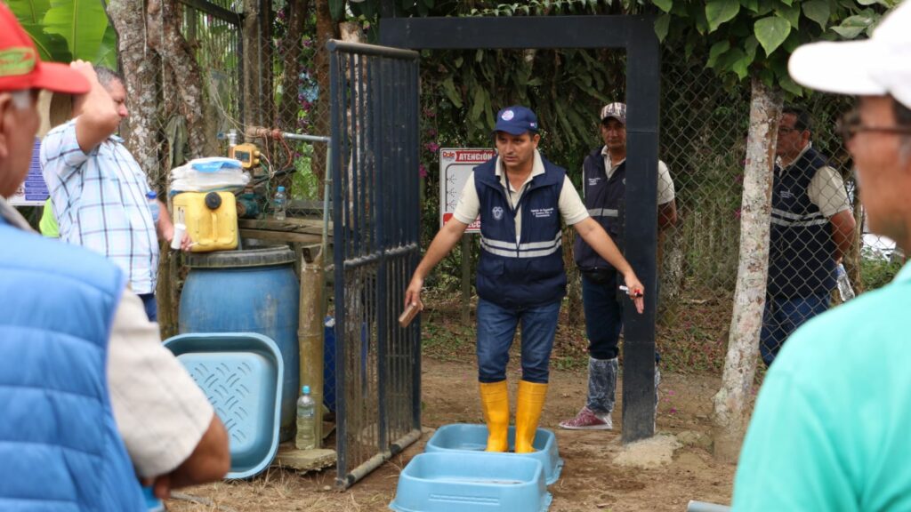 capacitación a productores plataneros ante riesgo del moko