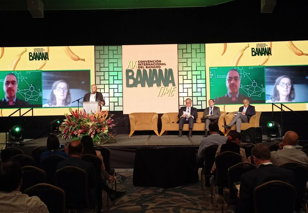 Convención bananera