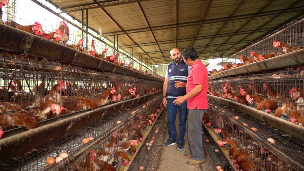 Inspectores controles influenza aviar