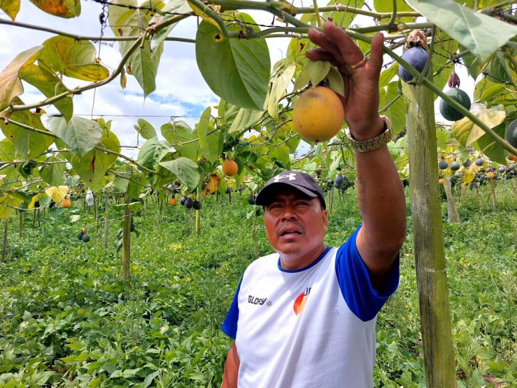 Un total de 100 toneladas de granadilla del Íntag llegaron al mercado español en 2022.