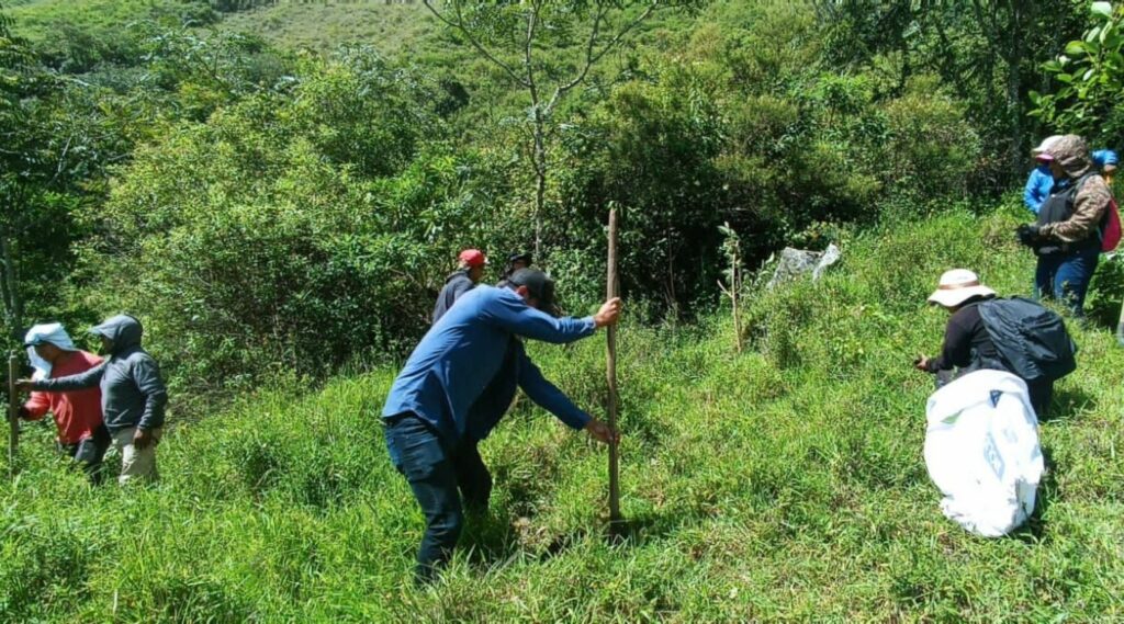 En la minga de recuperación de cobertura vegetal participaron 102 personas.