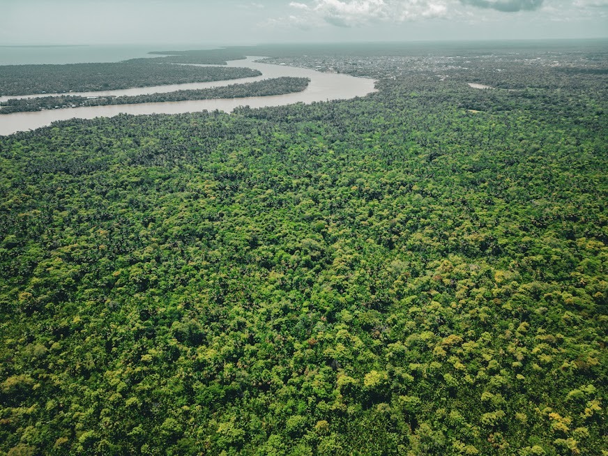 Natura trabaja por la sostenibilidad climática.