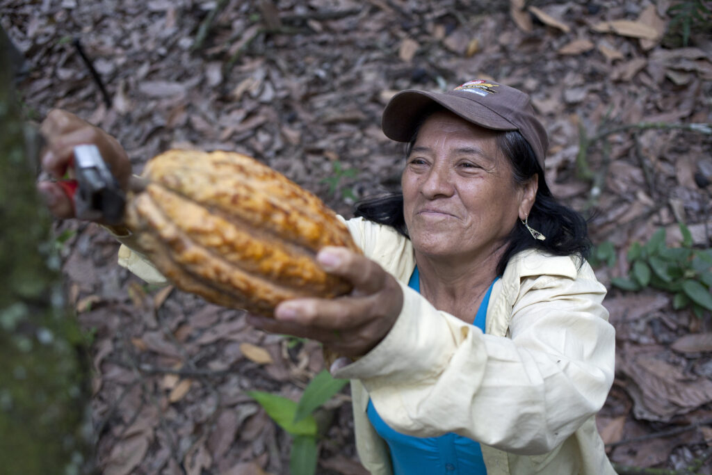 Plan Cacao Nestlé