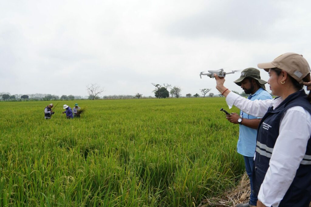 apoyo estatal agricola