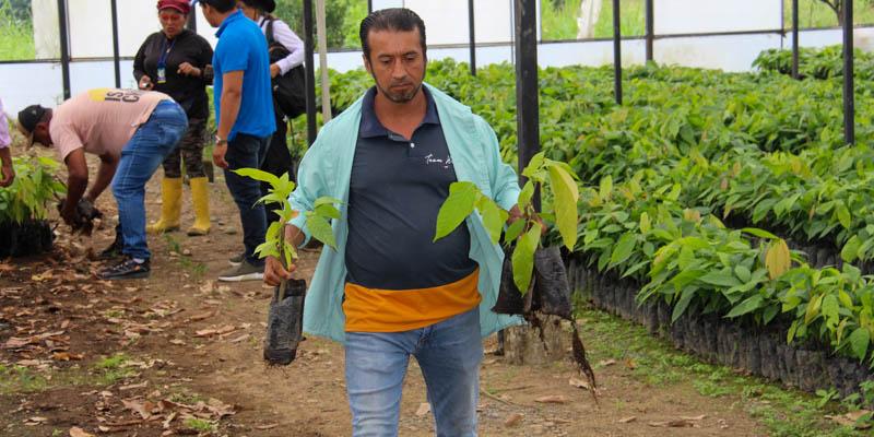 cacaotero Los Rios