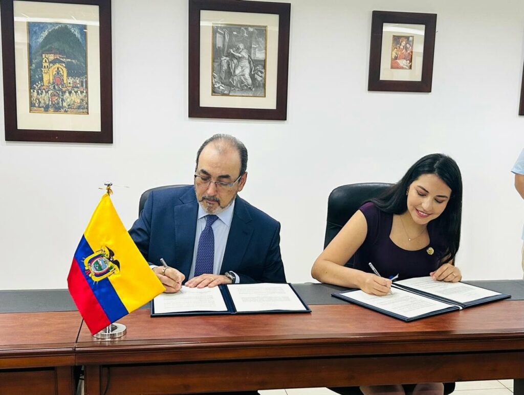 ayuda externa