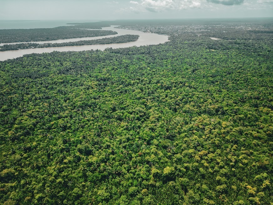 Amazonía Brasil