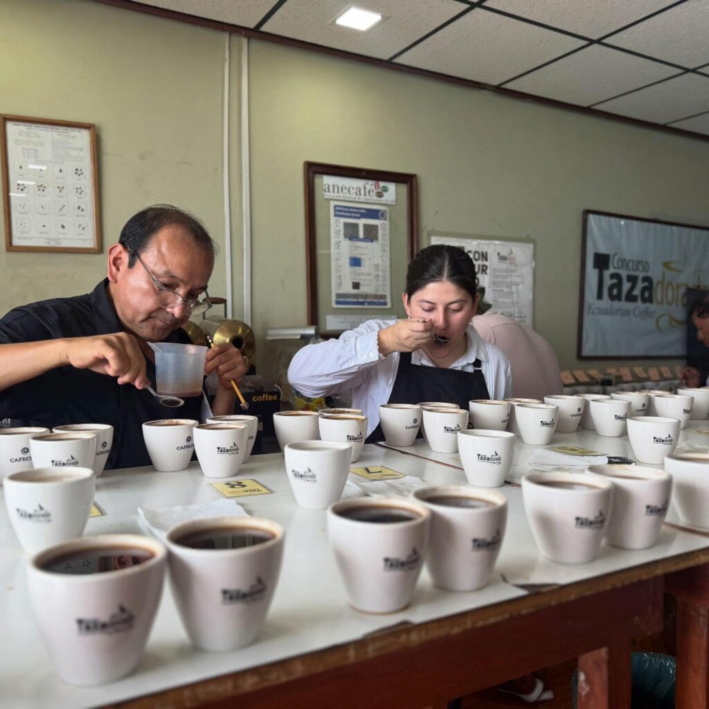 concurso de cafe