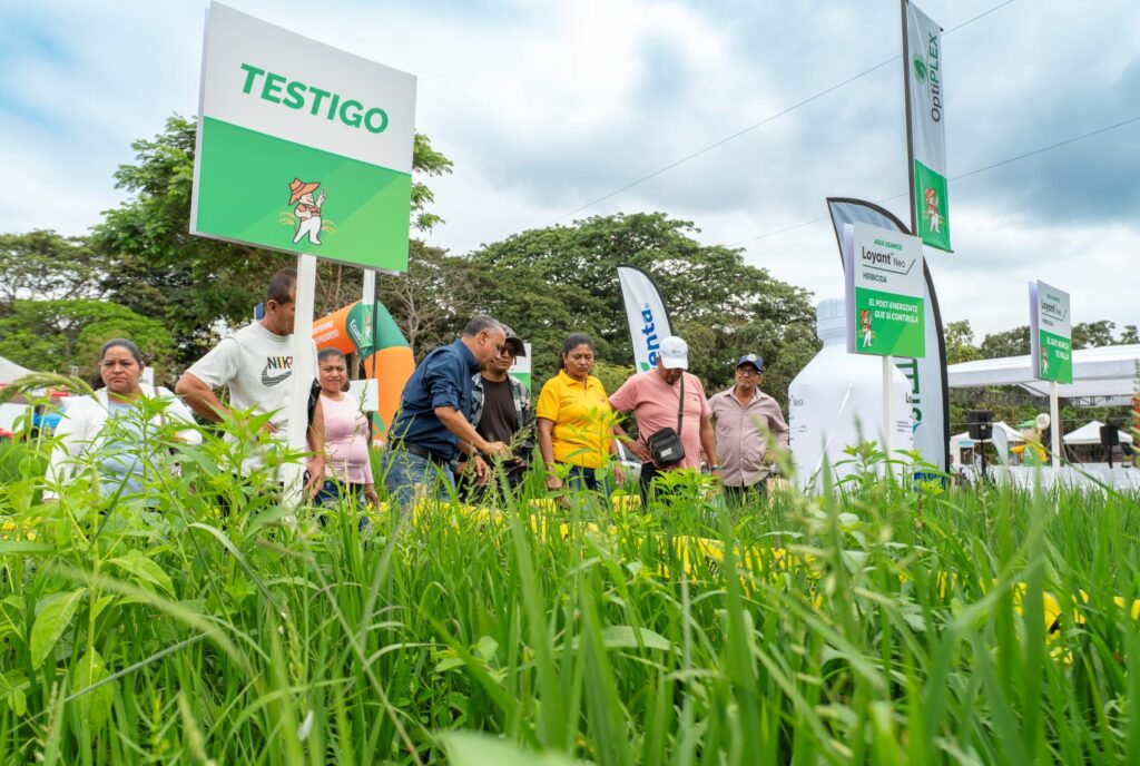 Agripac exhibió en la Expo Arroz las ventajas de sus semillas certificadas, insumos y acompañamiento técnico que brinda a los productores de arroz.