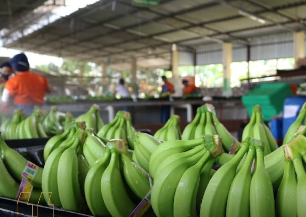 evento internacional