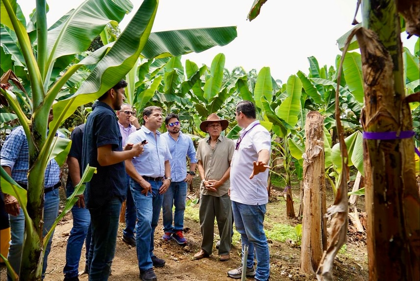 trabajo científico INIAP