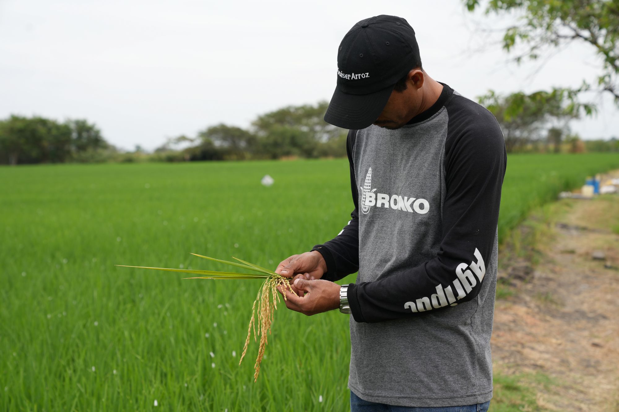 La compañía impulsa su línea de plaguicidas y fungicidas, diseñados para ofrecer eficacia incluso bajo condiciones de alta humedad.